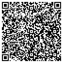 QR code with Cyberstar Windriver Group contacts