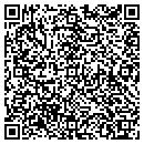 QR code with Primary Syncretics contacts