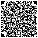 QR code with Cyclone Home Systems contacts