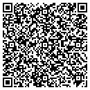 QR code with Professional Computer contacts