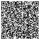 QR code with Borgeson Ronda J DVM contacts