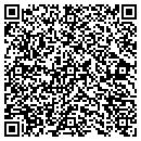 QR code with Costello Shawn M DVM contacts