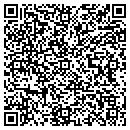QR code with Pylon Studios contacts