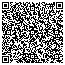 QR code with Public Works contacts