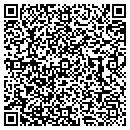 QR code with Public Works contacts