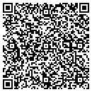 QR code with Carroll Lindsey Inc contacts