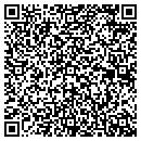 QR code with Pyramid Services CO contacts