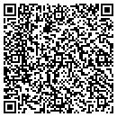 QR code with Carson City Computer contacts