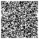 QR code with C E S Security Inc contacts