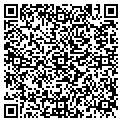 QR code with Vidal Cafe contacts