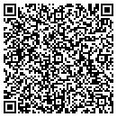 QR code with Pro Filer contacts