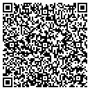 QR code with Pro Security contacts