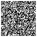 QR code with Carson Construction contacts