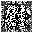 QR code with Collier Construction contacts