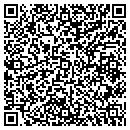 QR code with Brown Tina DVM contacts