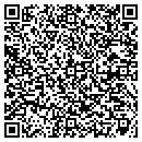 QR code with Projection Design LLC contacts