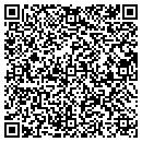 QR code with Curtsinger Stacey DVM contacts