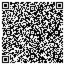QR code with Premier Building Works contacts