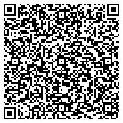 QR code with Pullman Engineering Inc contacts