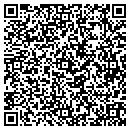 QR code with Premier Bodyworks contacts