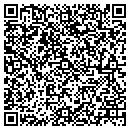 QR code with Premiere P C's contacts