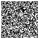 QR code with Premiere P C's contacts