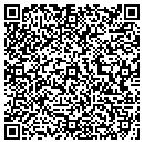 QR code with Purrfect Paws contacts