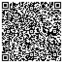 QR code with Ceslick Construction contacts