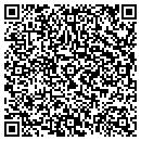 QR code with Carnival Computer contacts