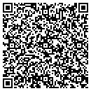 QR code with Premier Investigations contacts