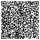 QR code with Pragmatix Corporation contacts