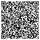 QR code with Carlson Construction contacts