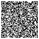 QR code with Professor CPU contacts