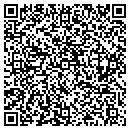 QR code with Carlstone Corporation contacts