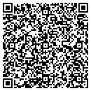 QR code with Pqt Construction contacts