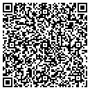 QR code with Babich P J DVM contacts