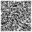 QR code with Putnam Computer Inc contacts
