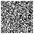 QR code with Couturier David S DVM contacts