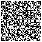 QR code with Punkindoodle Foods LLC contacts