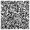 QR code with Proto Script contacts