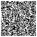 QR code with Cjs Construction contacts