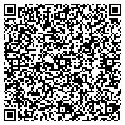 QR code with Tesmer Construction Corp contacts
