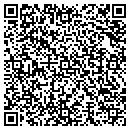 QR code with Carson Custom Homes contacts