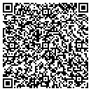 QR code with Chicken Store & More contacts