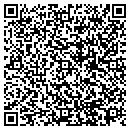 QR code with Blue Water Homes LLC contacts