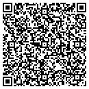 QR code with Puddles Of Poodles contacts