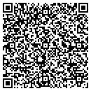 QR code with Carlson Construction contacts