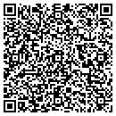 QR code with Premium Dixfield Log contacts