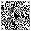 QR code with Puddleby on the Hill contacts