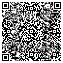 QR code with P C Systems Plus Inc contacts